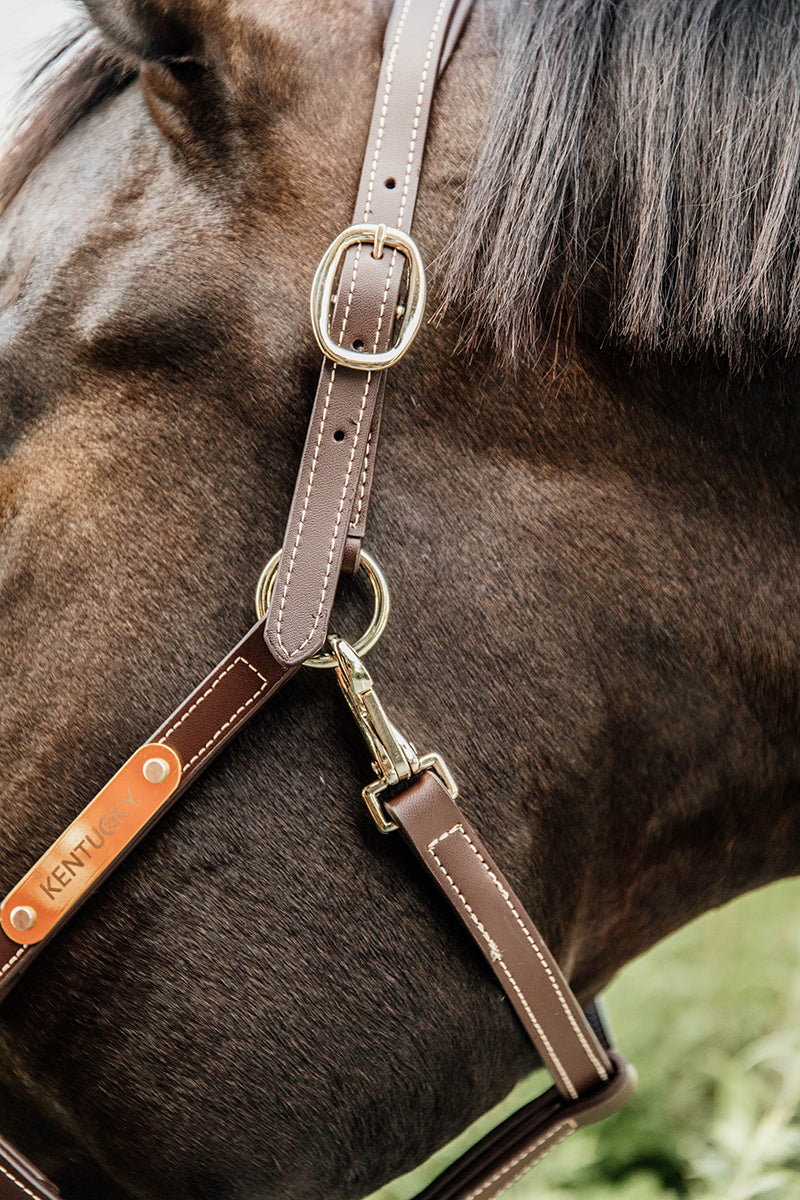Kentucky Horsewear Leather Halter Flexible Brown