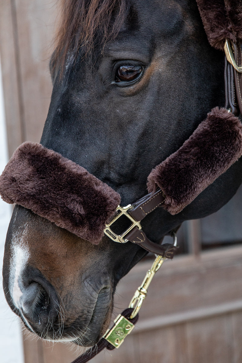 Kentucky Horsewear Sheepskin Headcollar Set (4 Piece) Brown