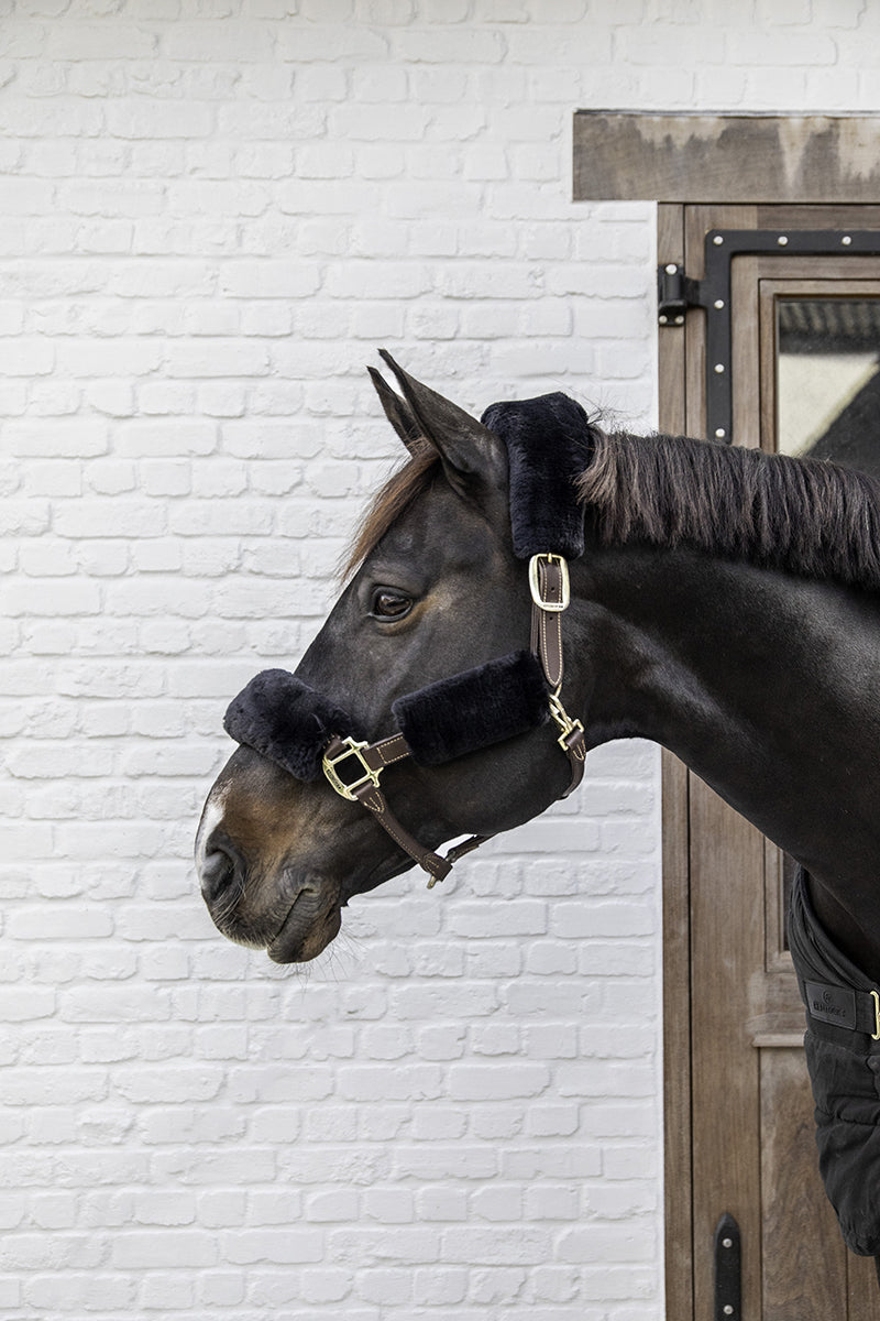 Kentucky Horsewear Sheepskin Headcollar Set (4 Piece) Black