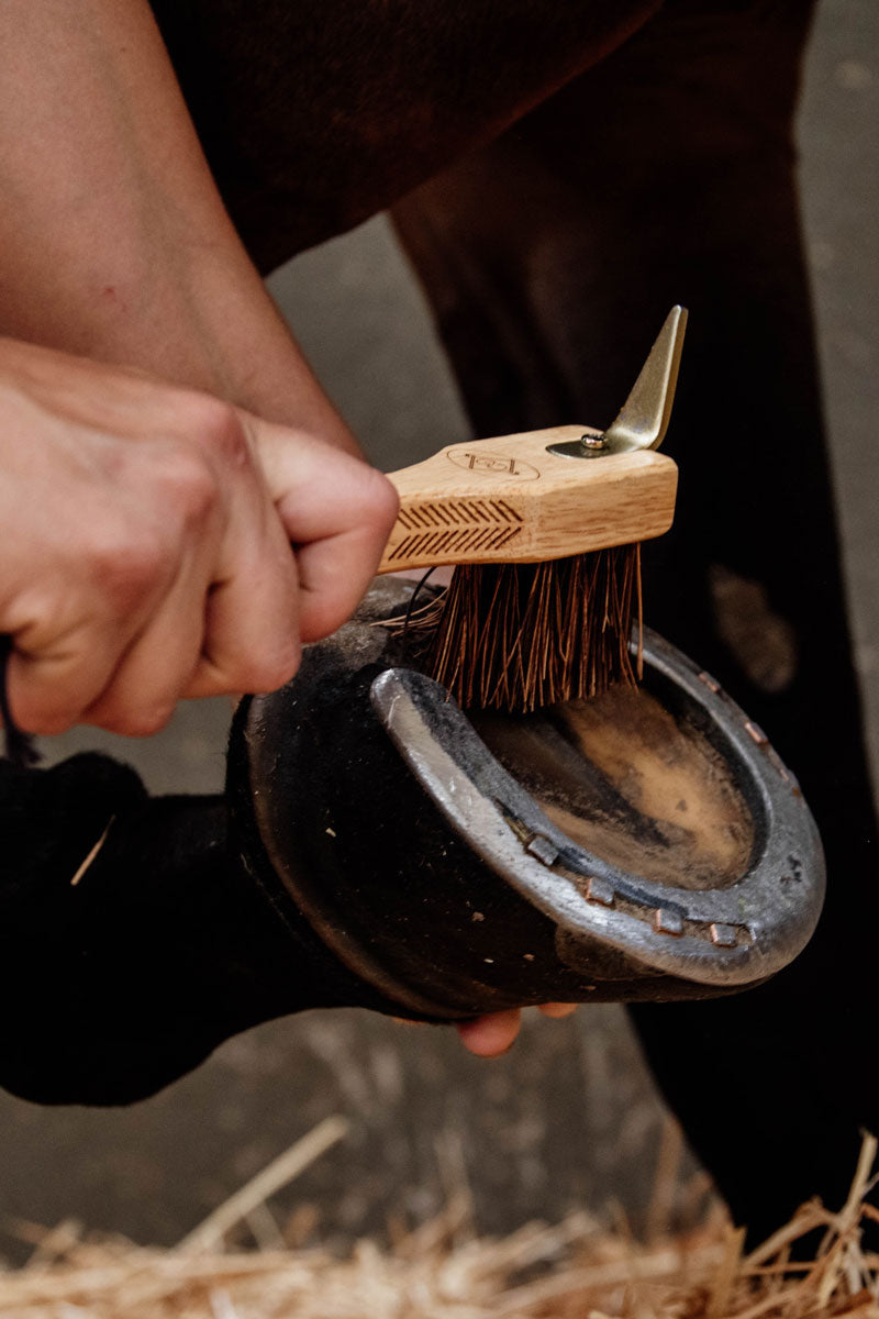 Grooming Deluxe Hoof Pick