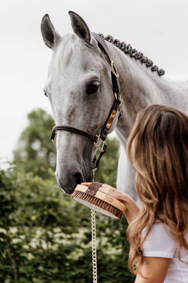 Grooming Deluxe Overall Brush Soft