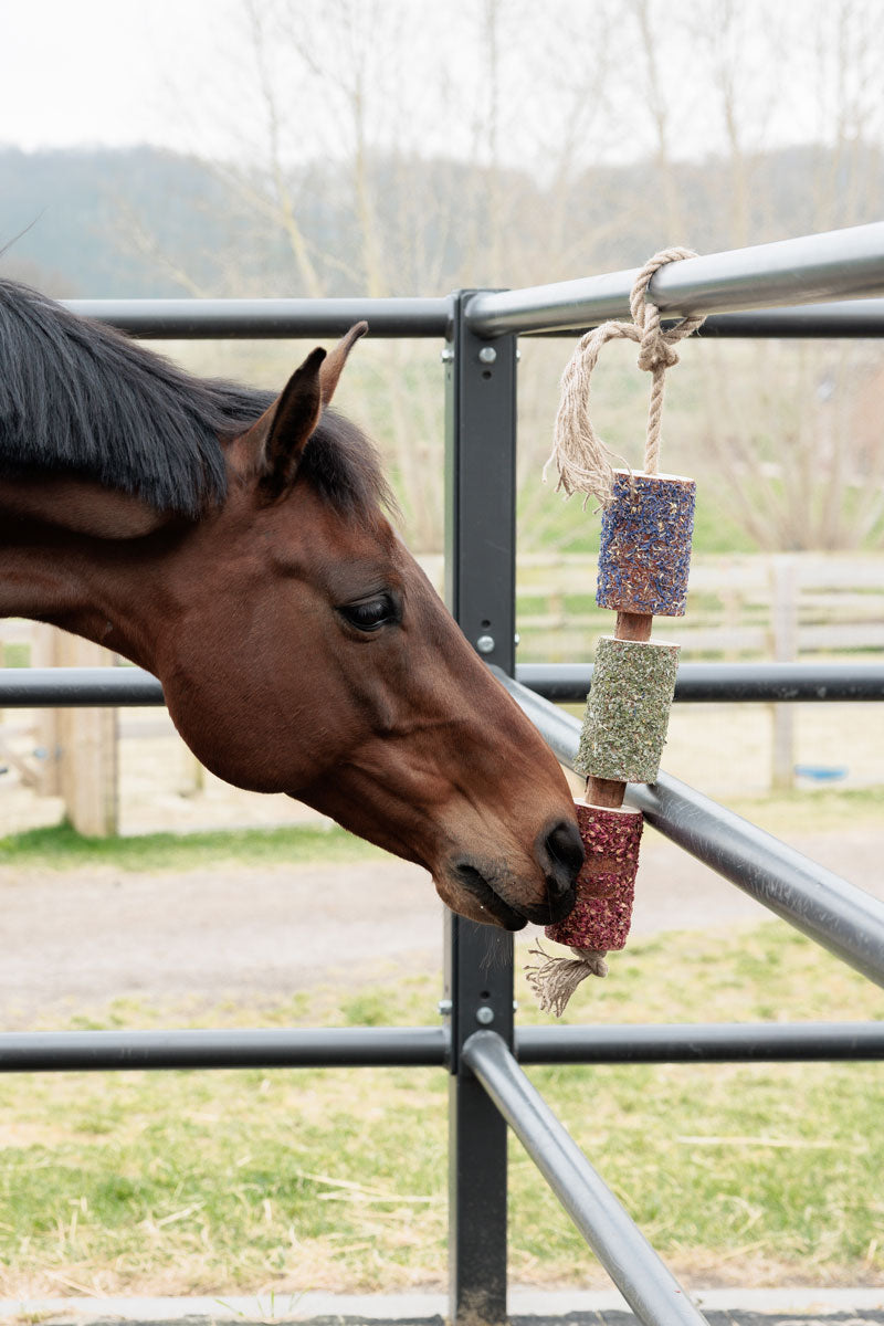 Kentucky Horsewear Wooden Relax Horse Toy – Freedom 
