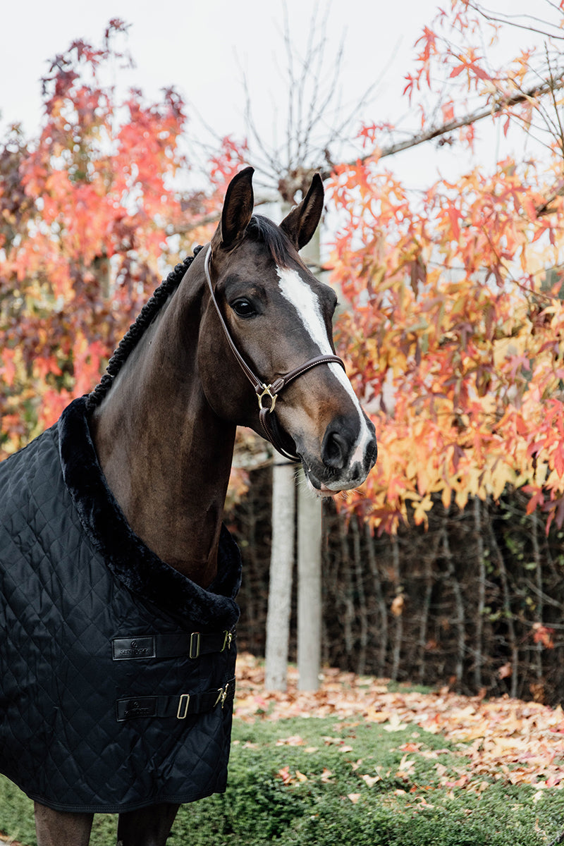 Kentucky Horsewear Show Rug 160g Black/Black