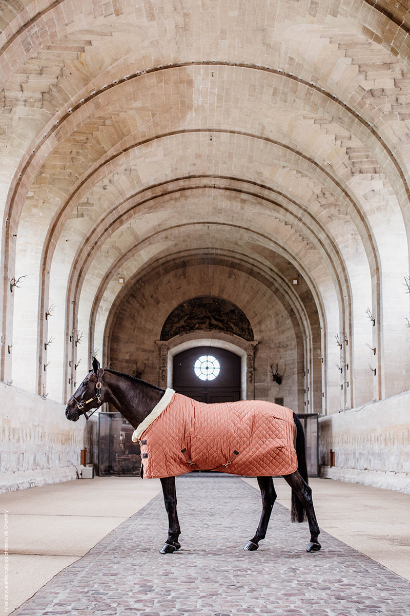 Kentucky Horsewear Show Rug 160g Autumn Orange 