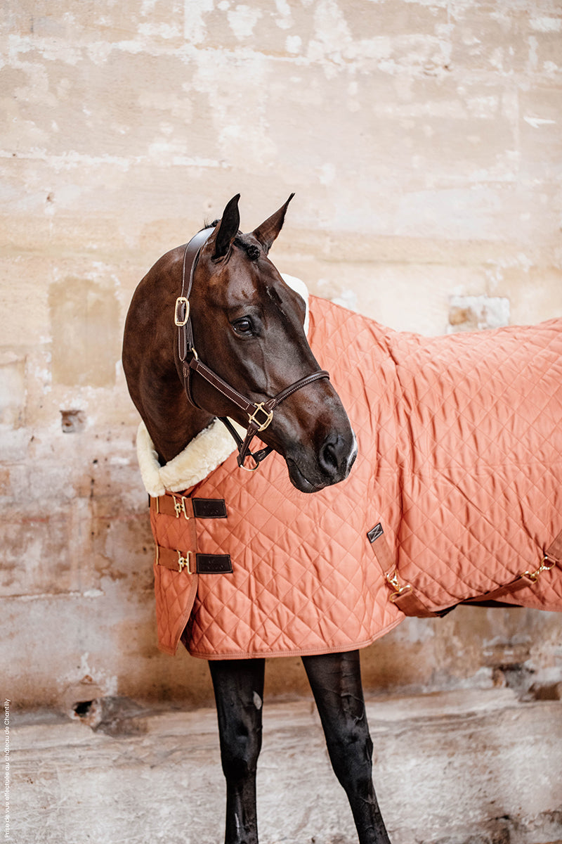 Kentucky Horsewear Show Rug 160g Autumn Orange 