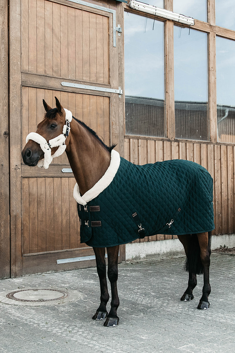 Kentucky Horsewear Show Rug 160g Pine Green