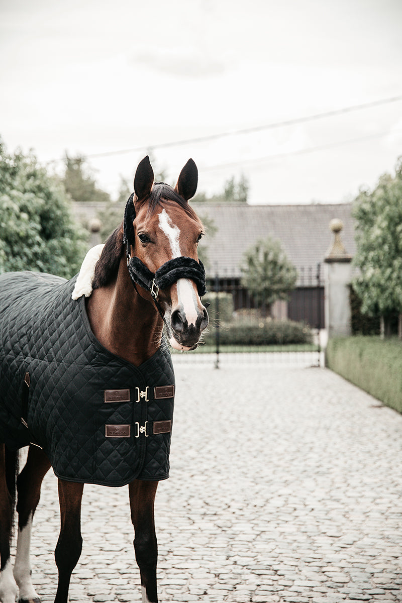 Kentucky Horsewear Stable Rug 0g Black