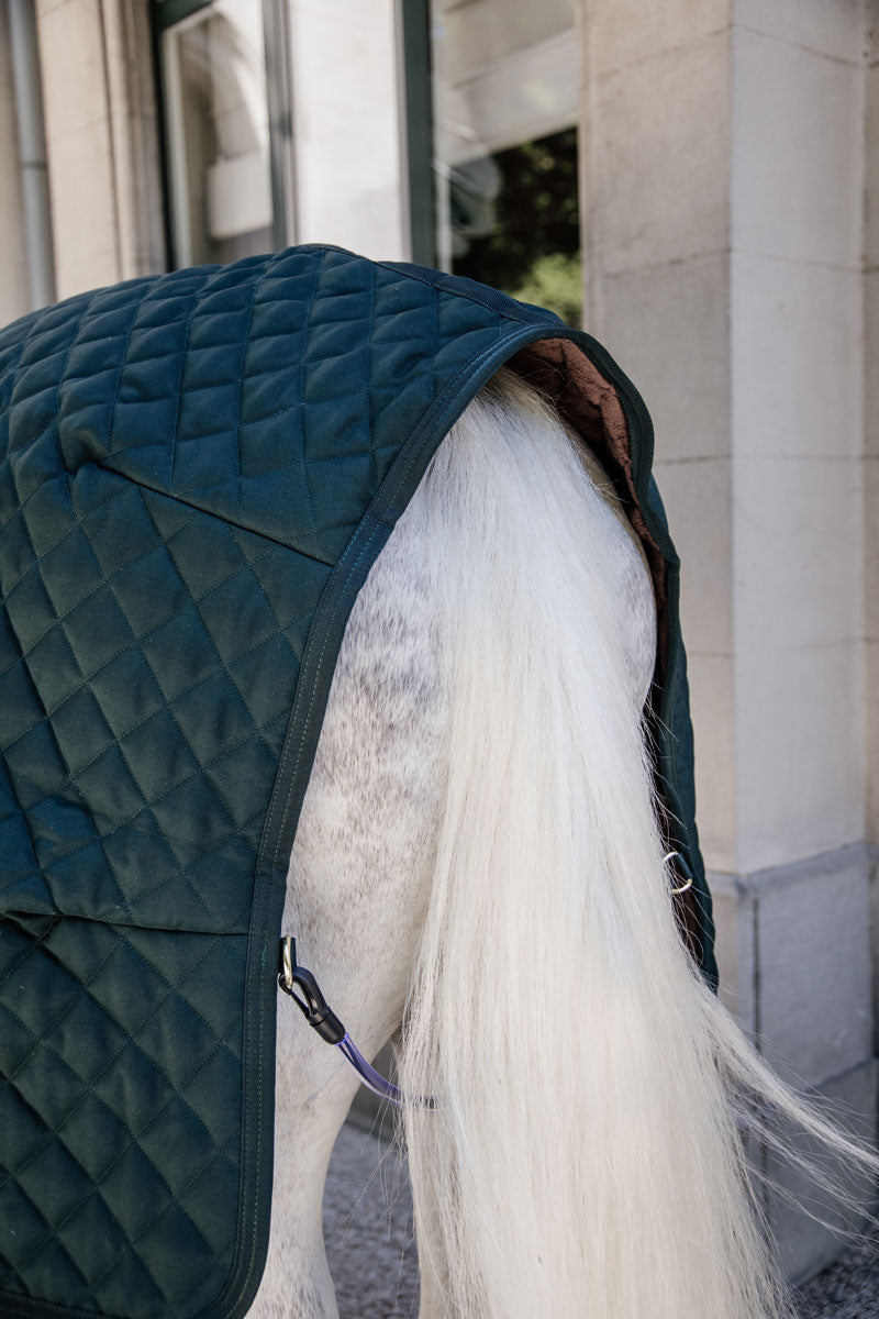 Kentucky Horsewear Stable Rug 400g Pine Green