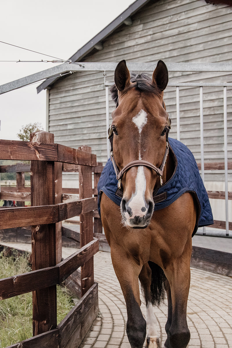 Kentucky Horsewear Walker Rug 160g Navy