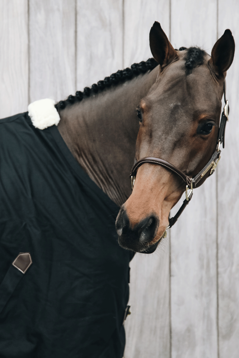 Kentucky Horsewear Cotton Sheet Black