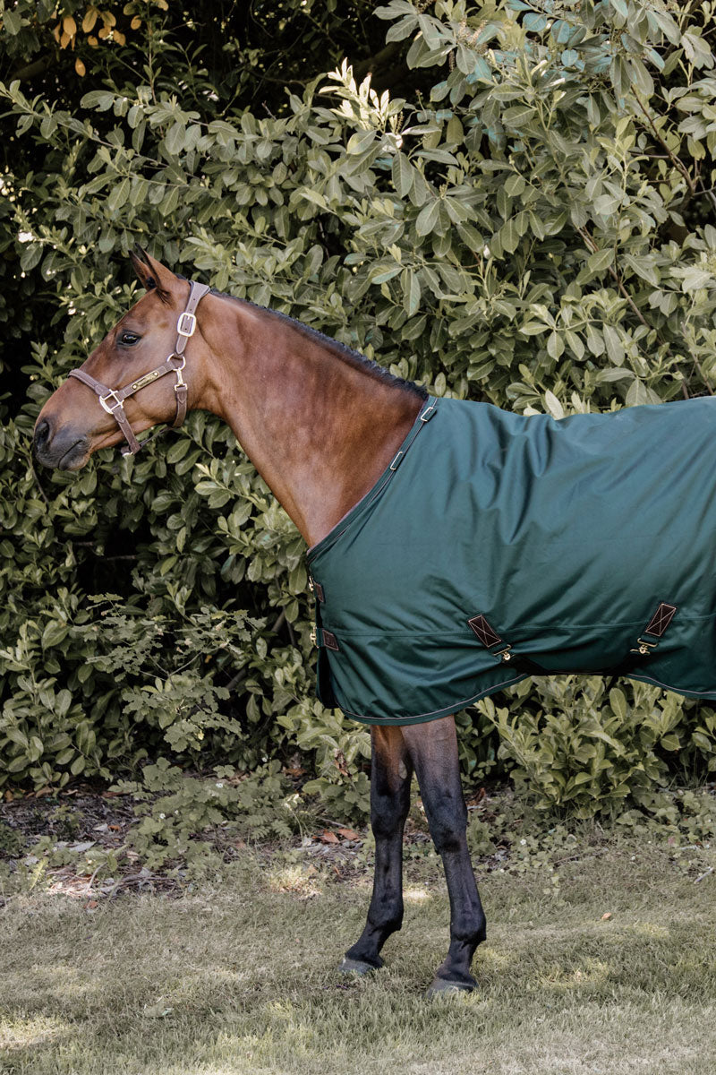 Kentucky Horsewear All Weather Pro Turnout Rug 160g Pine Green