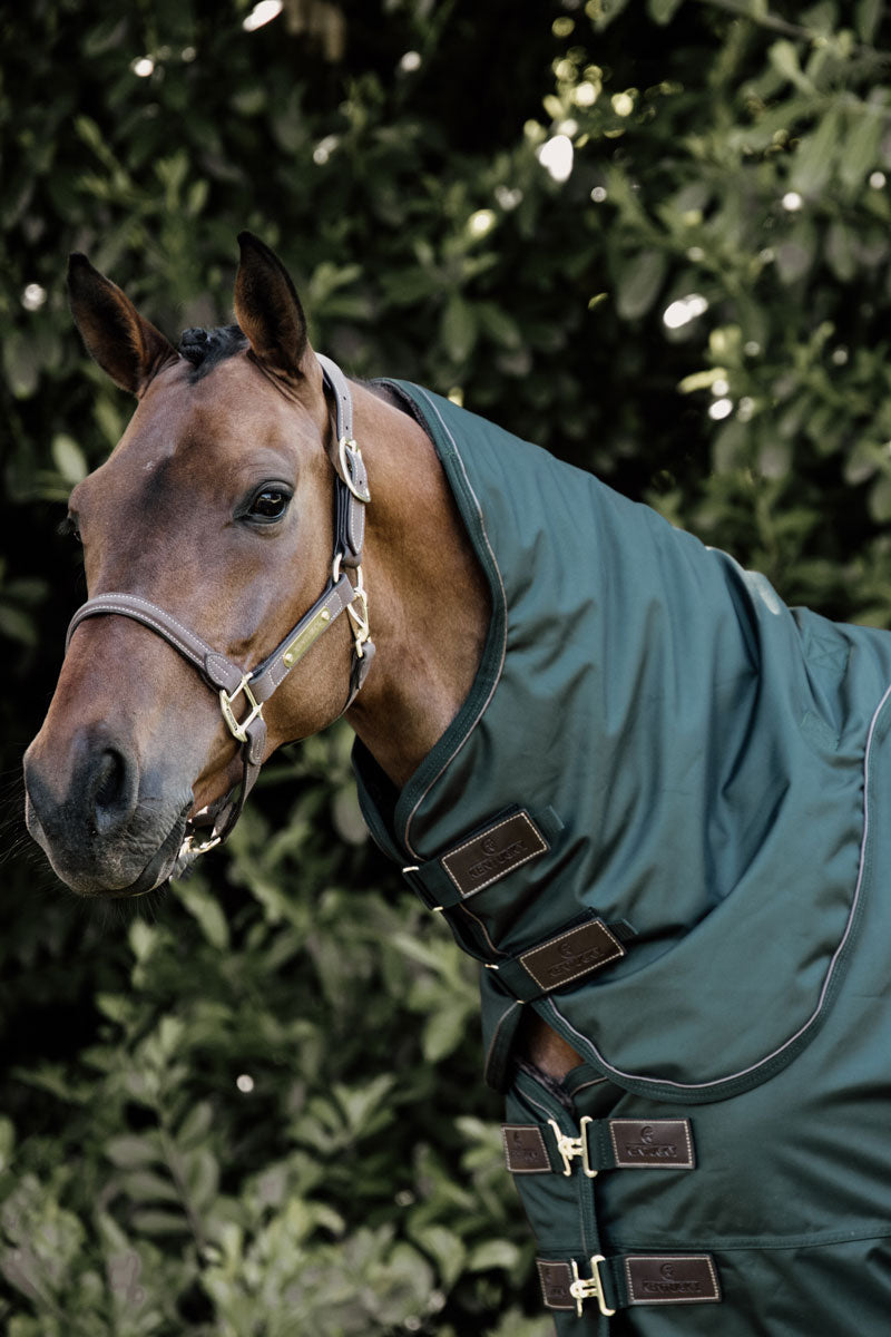 Kentucky Horsewear All Weather Pro Turnout Neck 150g Pine Green