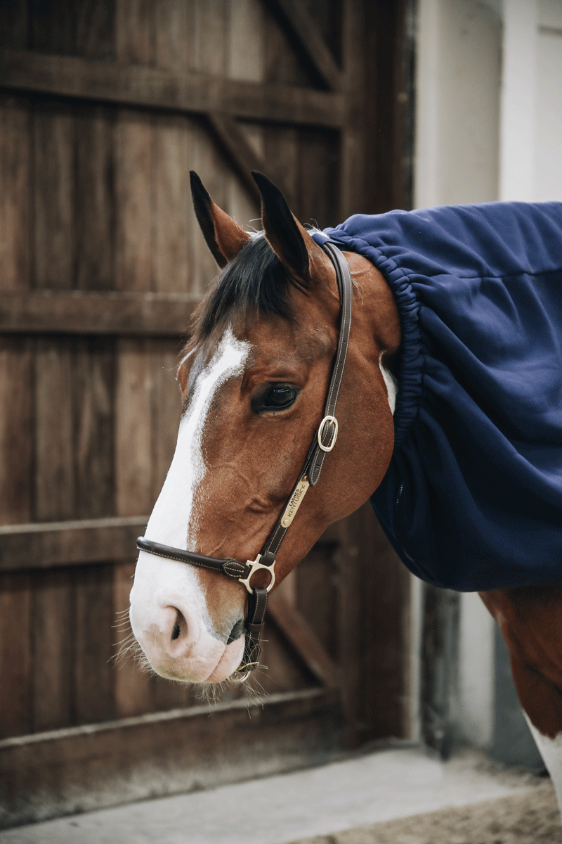 Kentucky Horsewear Cooler Fleece Horse Scarf