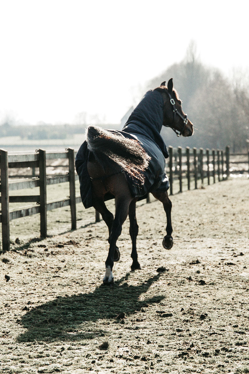 Kentucky Horsewear All Weather Classic Turnout Rug 0g Navy