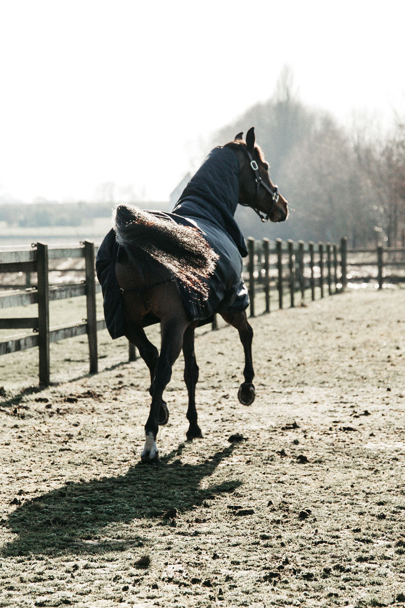 Kentucky Horsewear All Weather Classic Turnout Rug 300g Navy