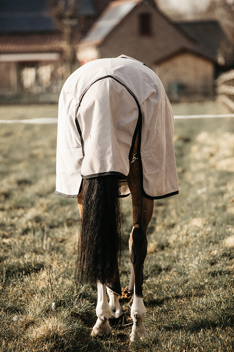 Kentucky Horsewear Mesh Fly Rug Beige