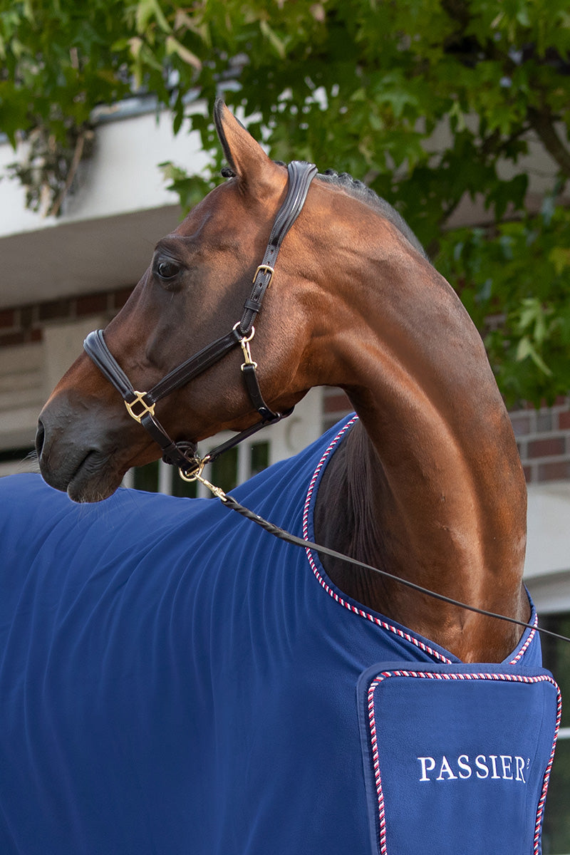 Passier Padded Leather Headcollar Havana