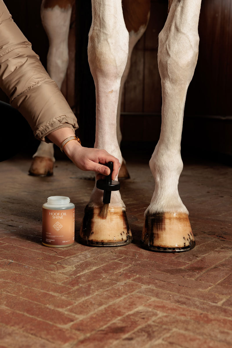 Grooming Deluxe Hoof Oil Shine 500ml