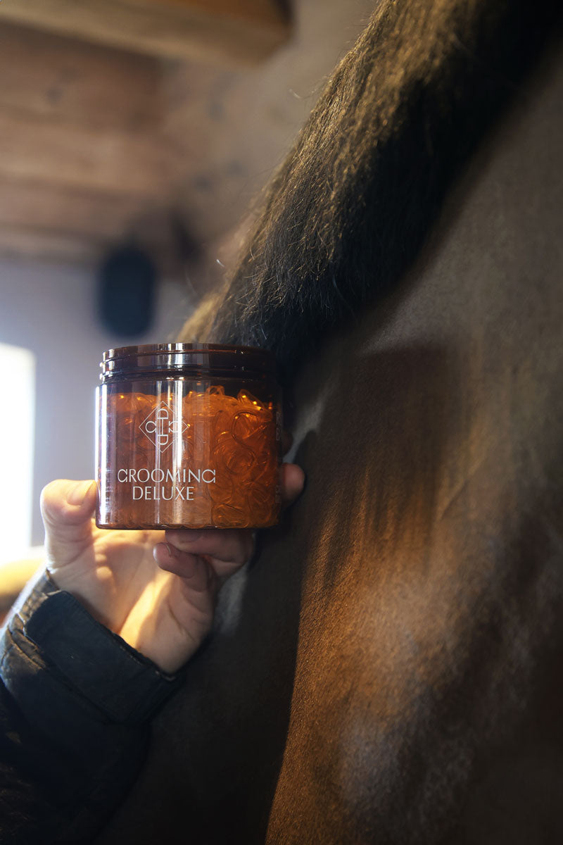 Grooming Deluxe Rubber Bands 1500pcs