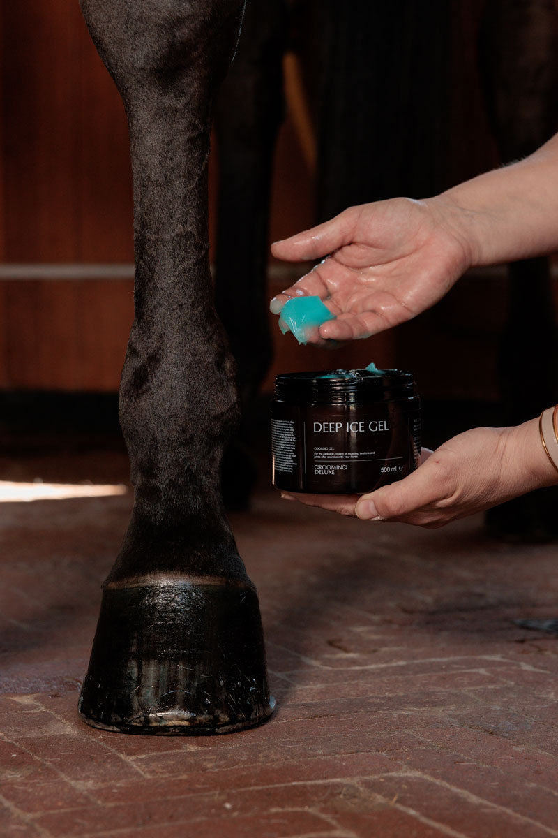 Grooming Deluxe Recovering Ice Gel 500ml