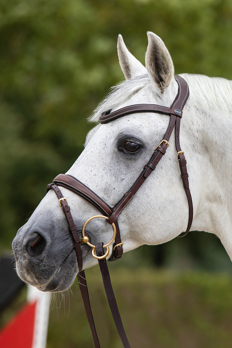 Passier No Limits Snaffle Bridle with Stainless Steel Fittings and Rubber Reins Havana