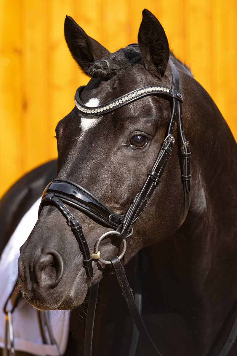 Passier Starlight Snaffle Bridle with Stainless Steel Fittings and Rubber Reins Black