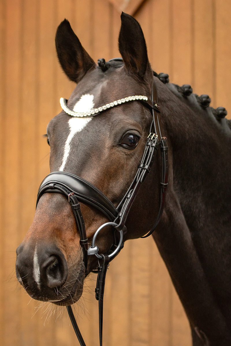 Passier Favorite Bridle with Rubber Reins Black