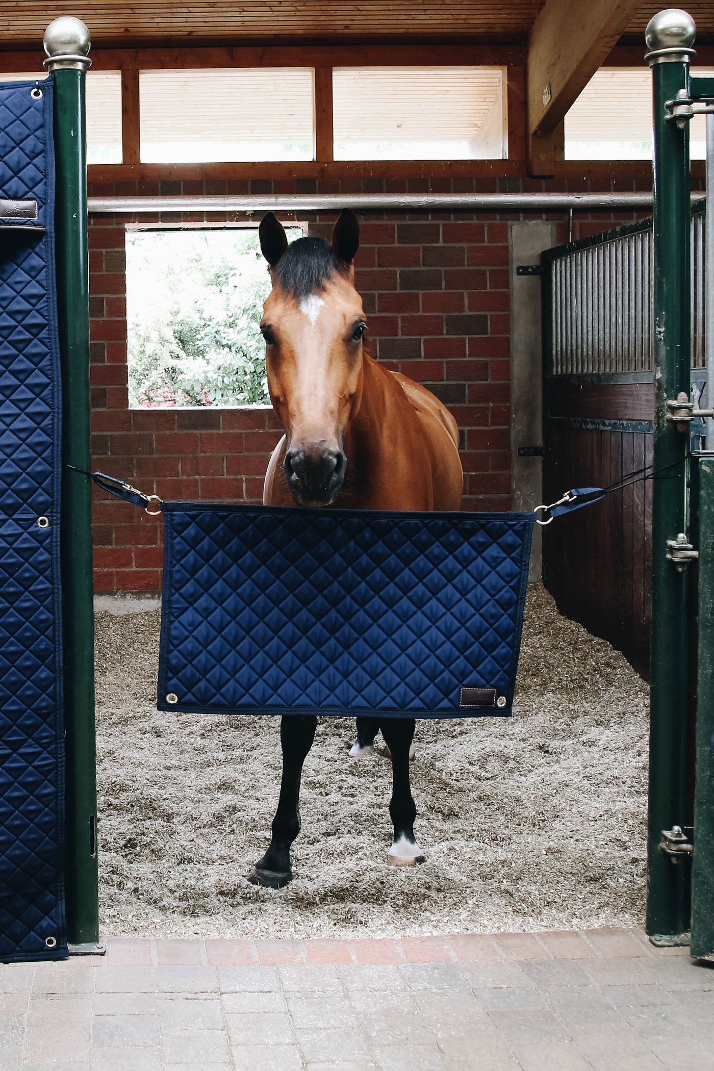 Kentucky Horsewear Stable Curtain Navy