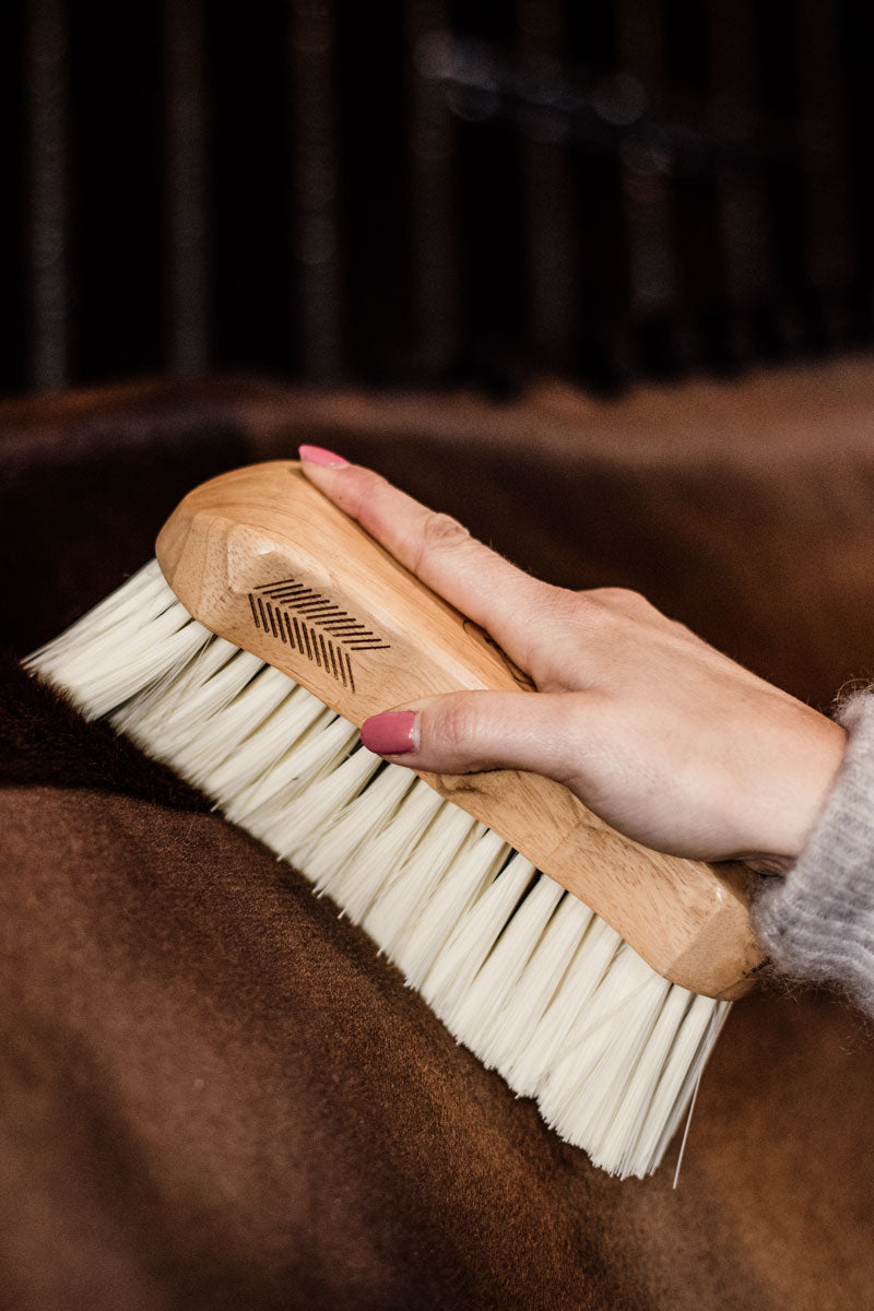 Grooming Deluxe Body Brush Middle Soft