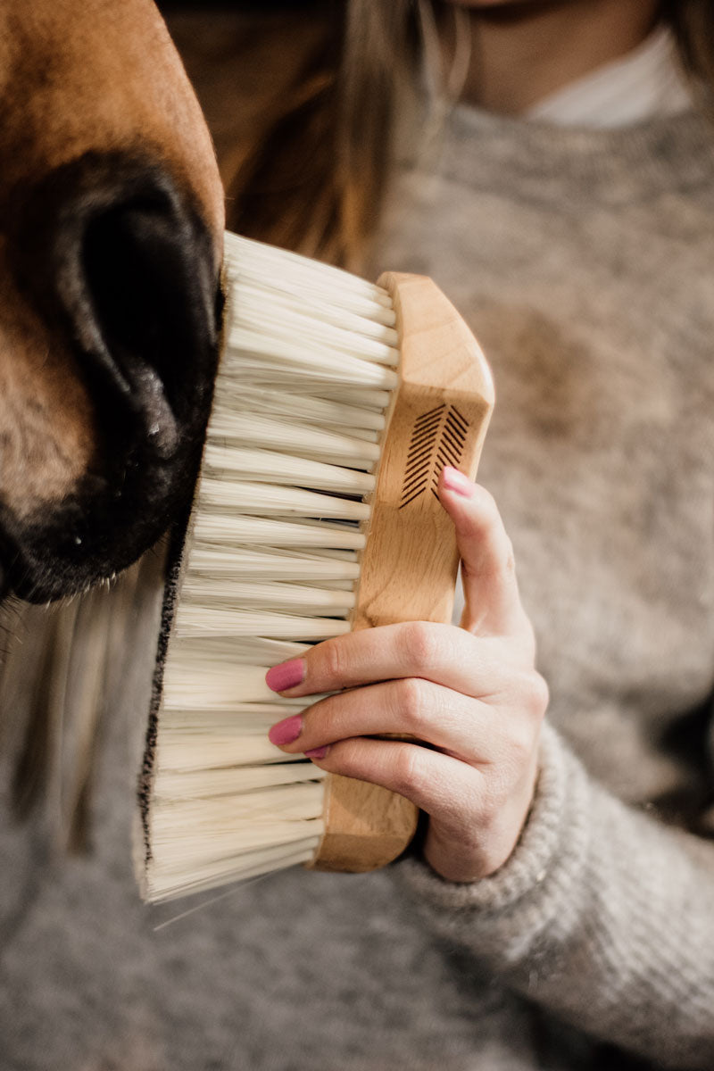Grooming Deluxe Body Brush Middle Soft