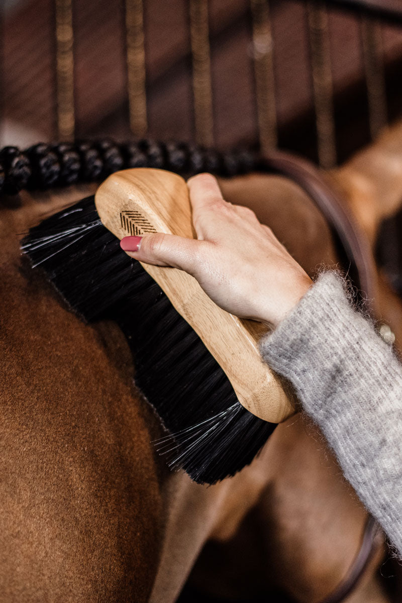 Grooming Deluxe Body Brush Middle Hard