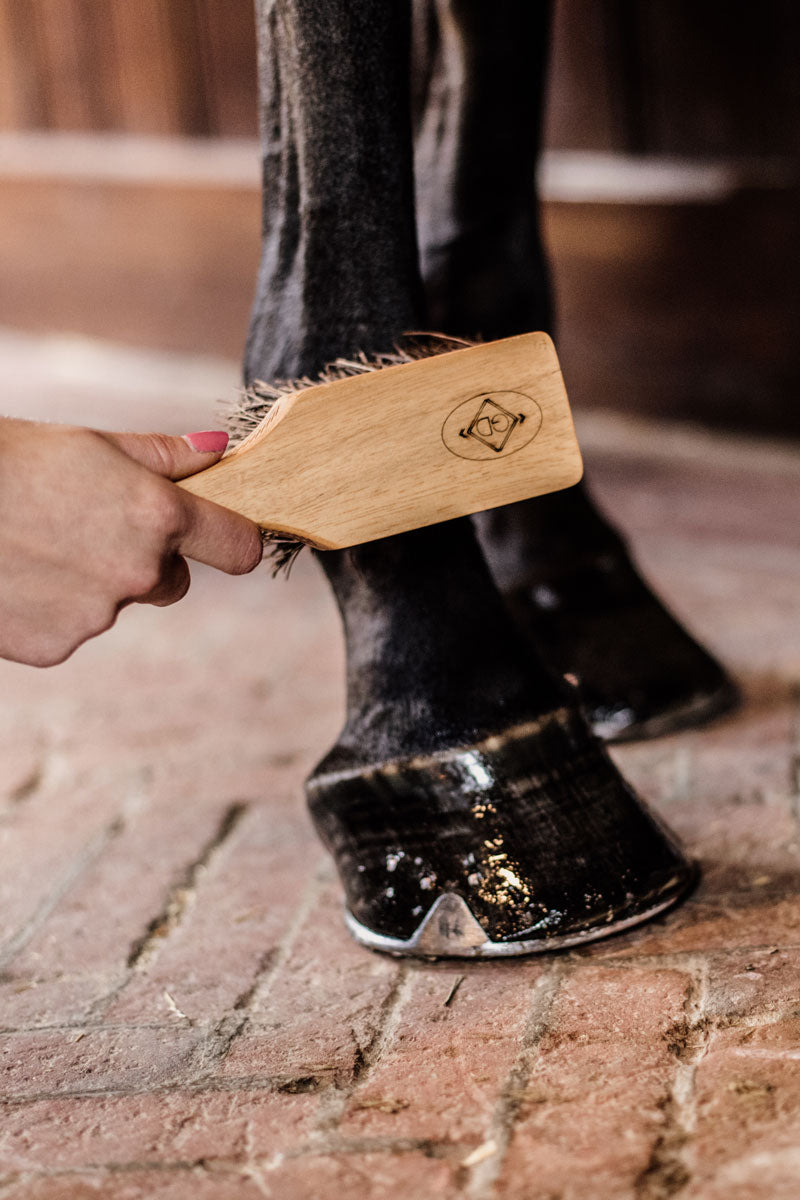 Grooming Deluxe Hoof Brush