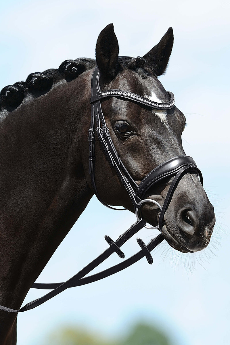 PassierBlu Spirit Snaffle Bridle with Stainless Steel Fittings and Web Reins Black