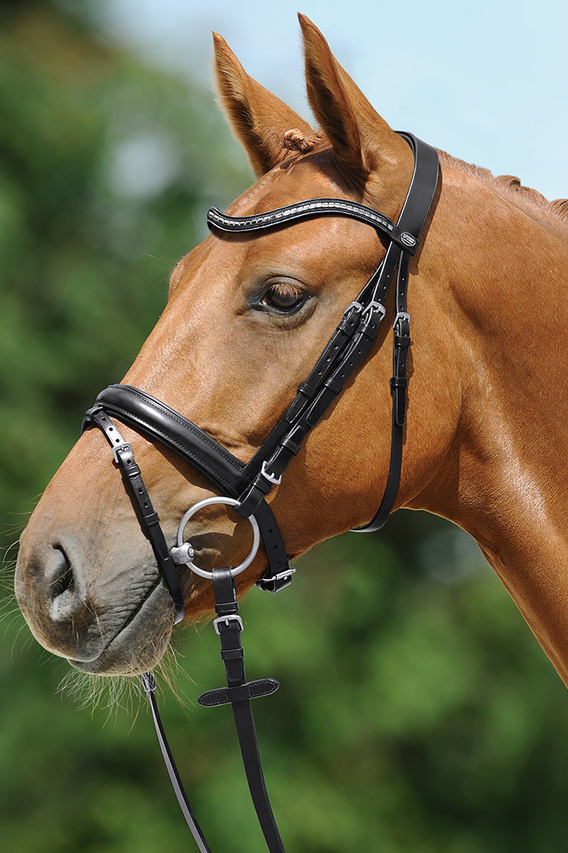 Passier Juno Snaffle Bridle with Stainless Steel Fittings Black