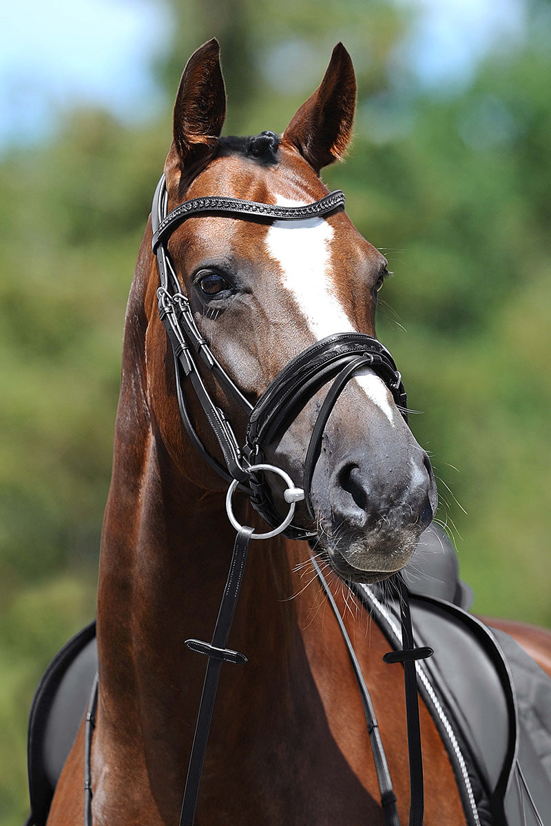 Passier Apollo Snaffle Bridle with Stainless Fittings and Rubber Reins Black