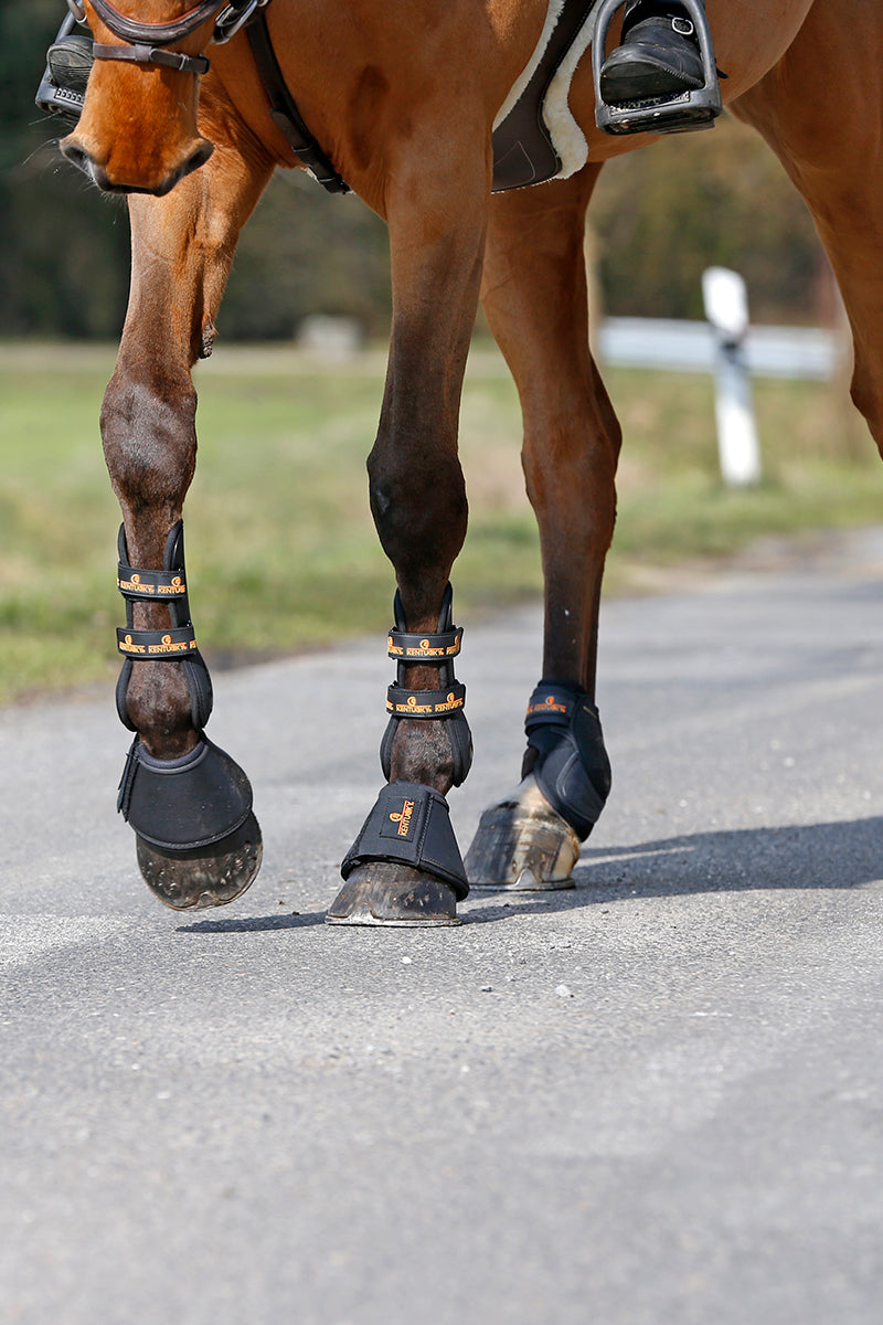 Kentucky Horsewear Leather Over Reach Boots Black
