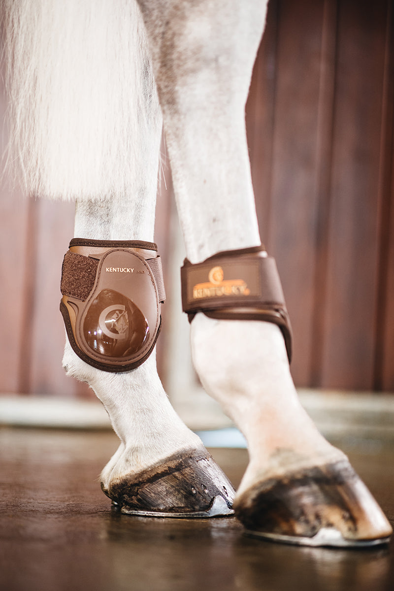 Kentucky Horsewear Young Horse Fetlock Boots Brown