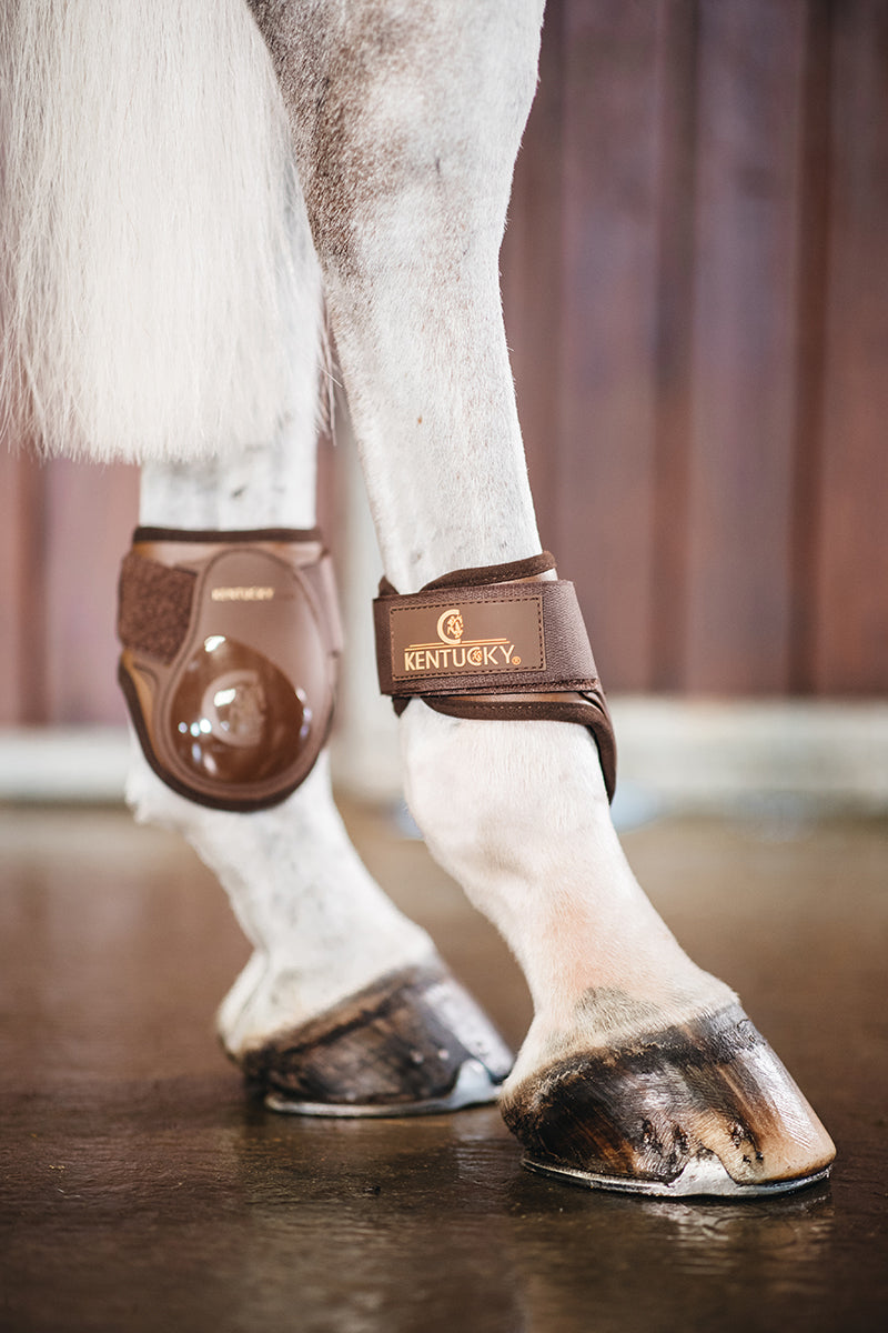 Kentucky Horsewear Young Horse Fetlock Boots Brown