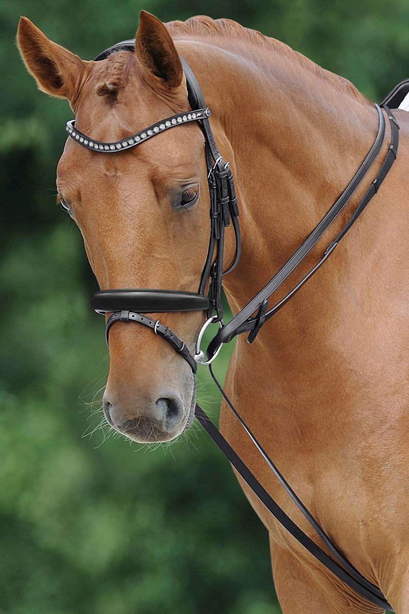 Passier Draw Reins with Snap Hooks with Stainless Steel Fittings Black