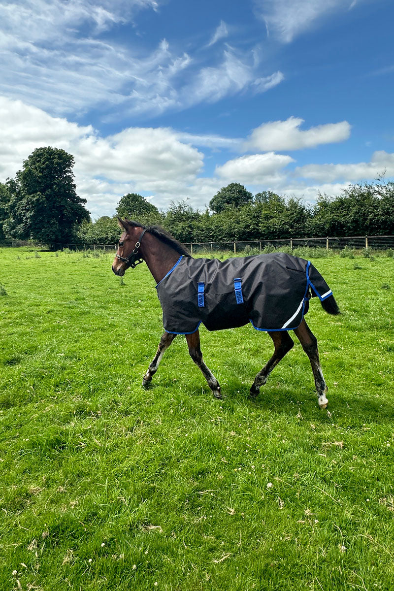 Amigo Ripstop 900D Foal Turnout 50g Black/Classic Blue 