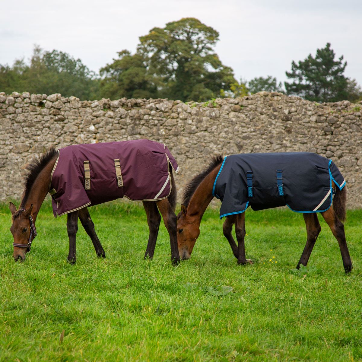 Amigo Ripstop Foal Rug 50g Navy/Electric Blue 