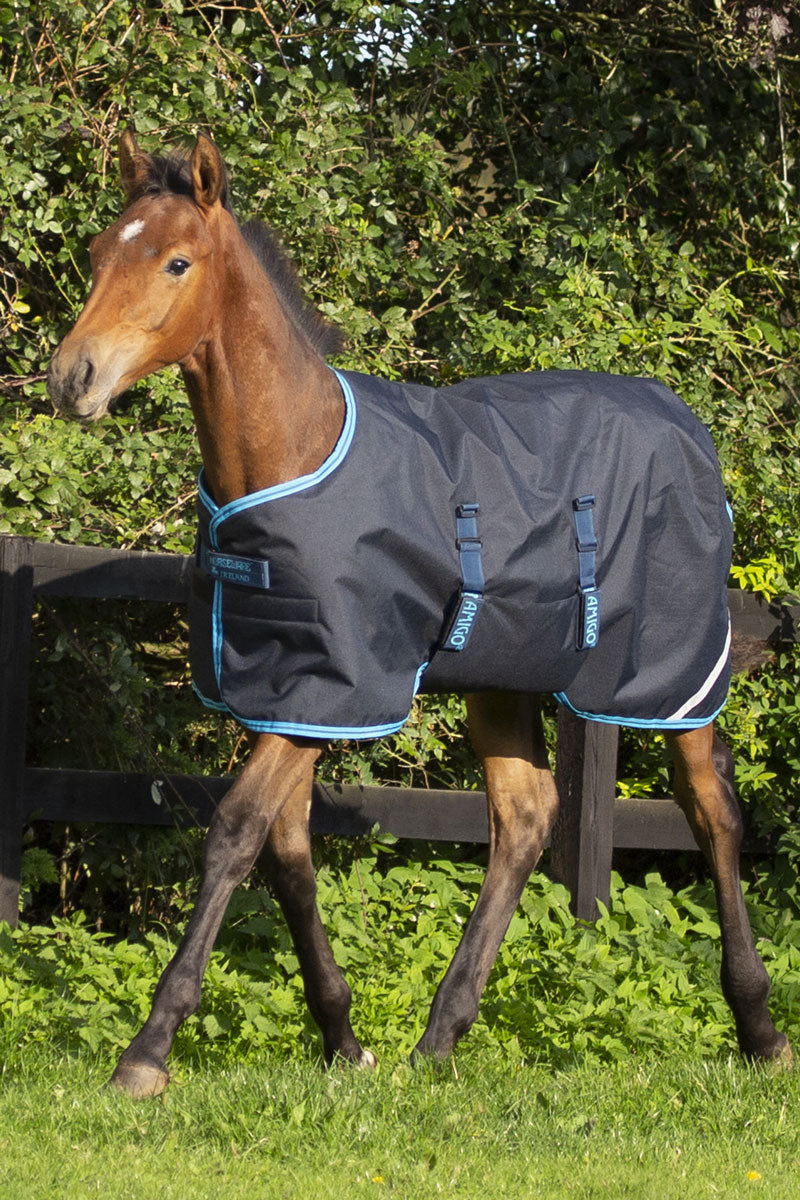 Amigo Ripstop Foal Rug 50g Navy/Electric Blue 