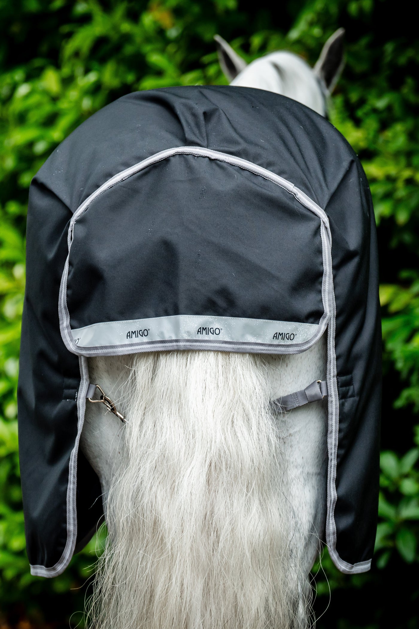 Amigo Bravo 12 Plus Turnout 100g Black/Titanium Grey & Silver 