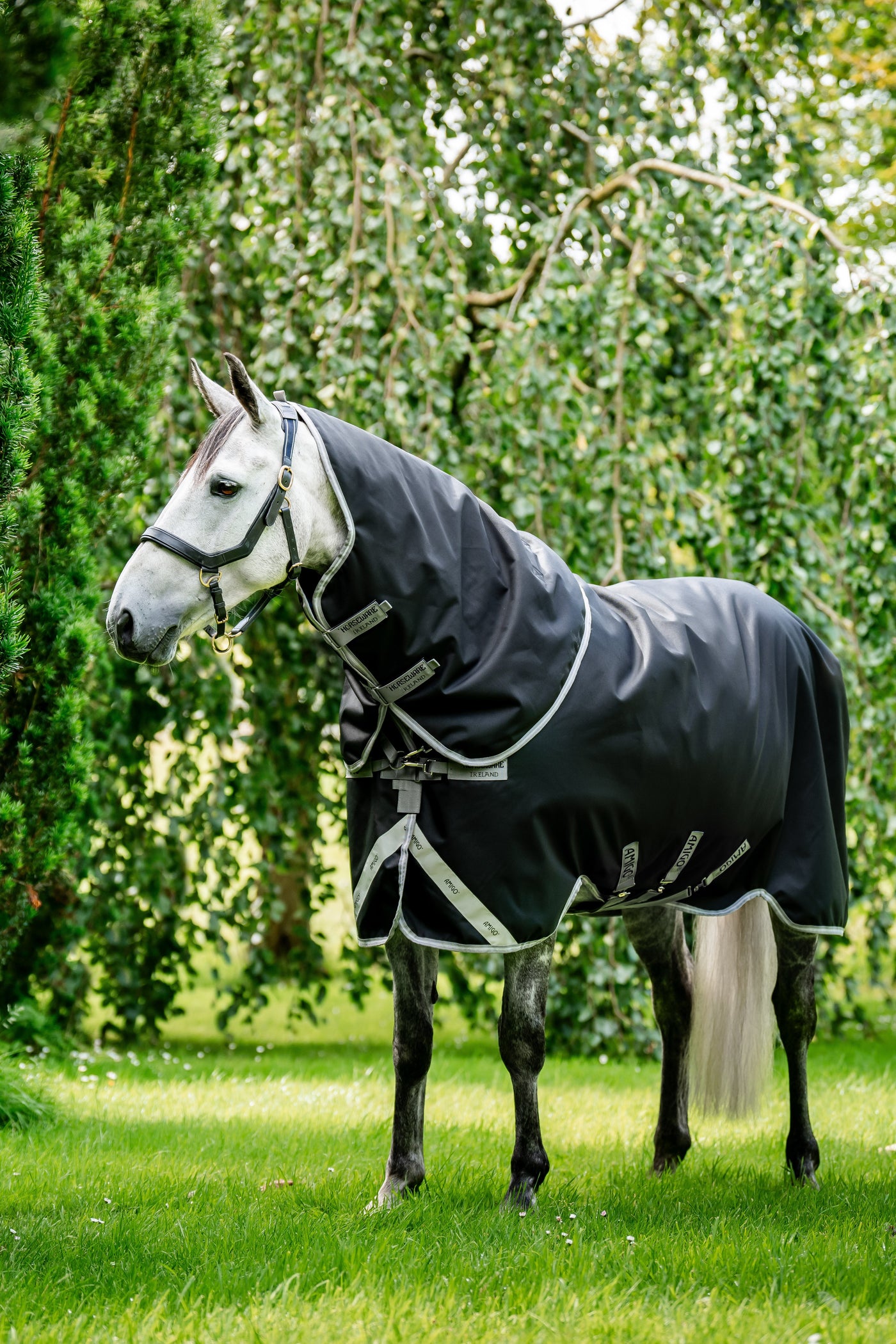 Amigo Bravo 12 Plus Turnout 100g Black/Titanium Grey & Silver 