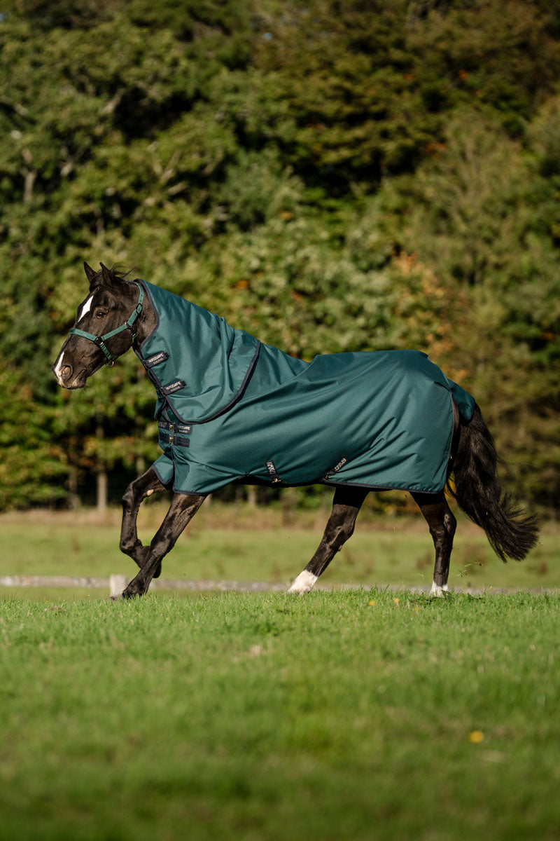 Amigo Ripstop 900D Pony Plus 200g Turnout Dynasty Green/Navy & Silver