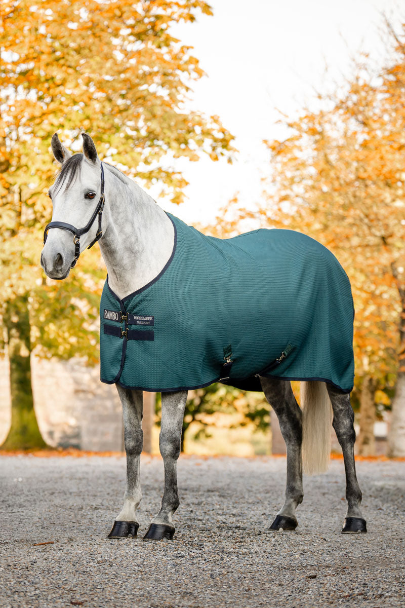 Rambo Techni Waffle Cooler Dynasty Green/Navy & Silver