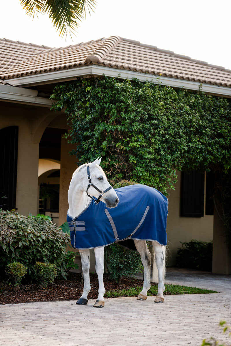 Rambo Stable Sheet