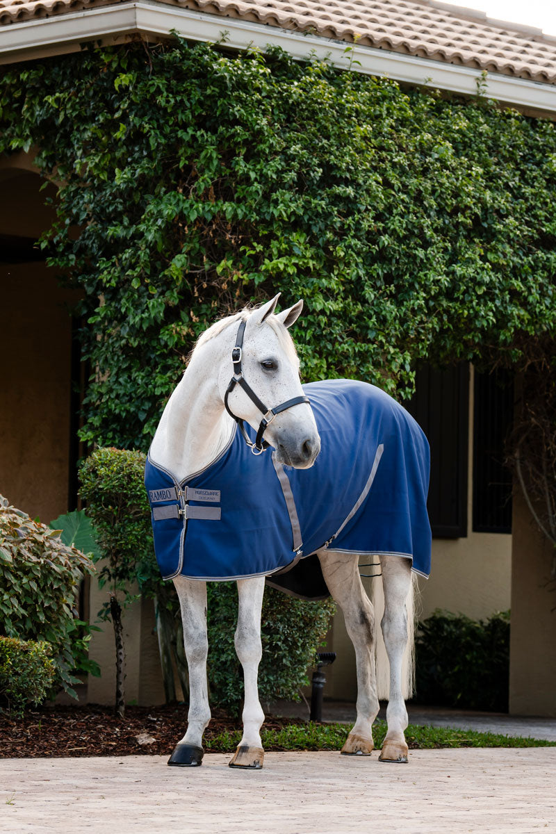 Rambo Stable Sheet