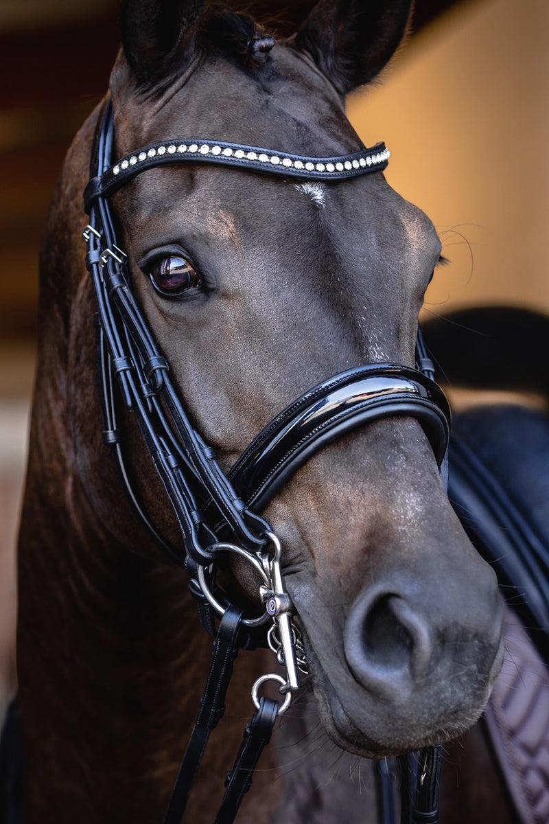 Trust Aachen Double Bridle