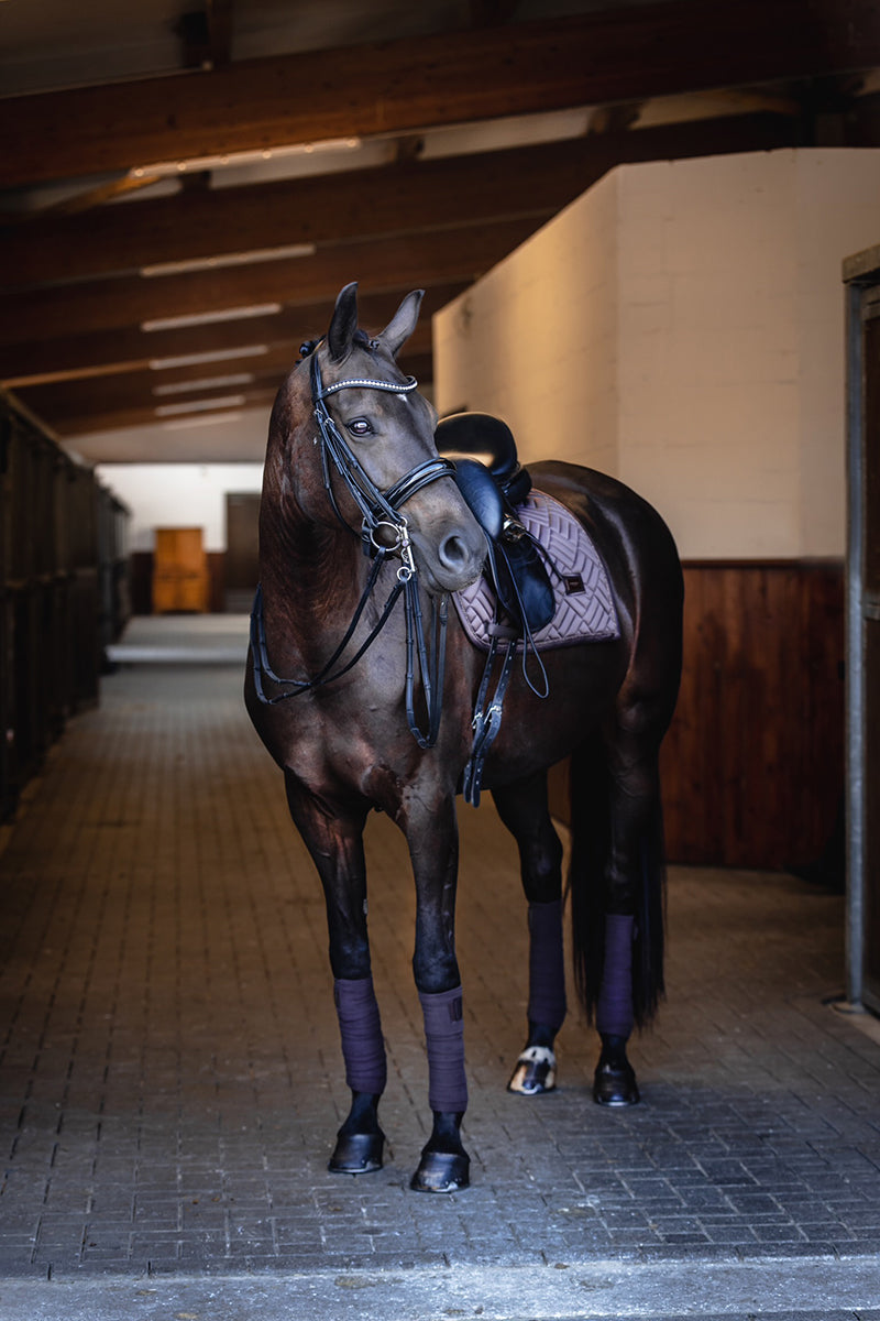 Trust Aachen Double Bridle